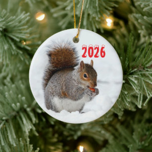Ardilla en nieve con ornamento de Berry