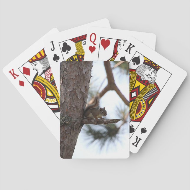 Ardilla en un pino jugando cartas (Reverso)