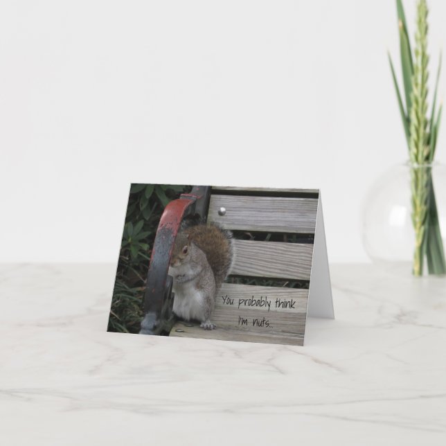 Ardilla en una tarjeta de notas de Park Bench (Anverso)