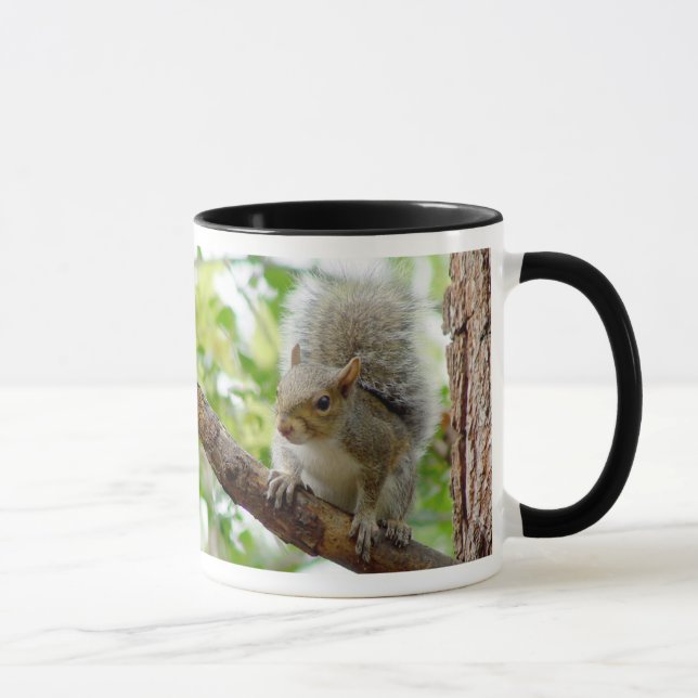 Ardilla en una taza del animal de la rama (Derecha)