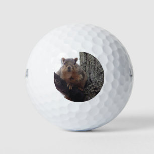 Ardilla mirando tu bola de golf