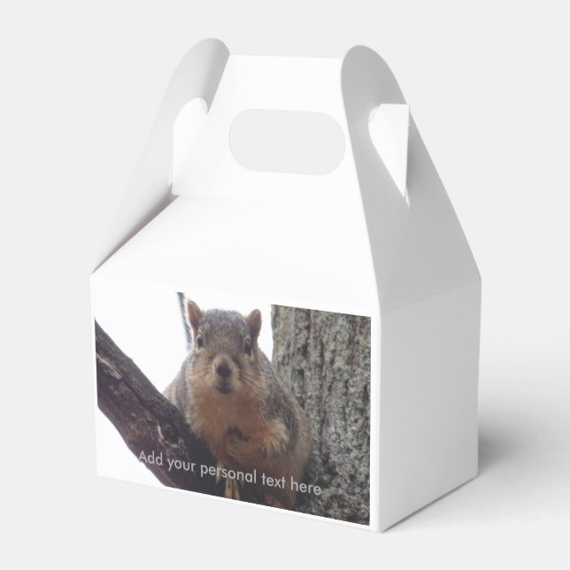 Ardilla mirando tu caja de regalo (Reverso)