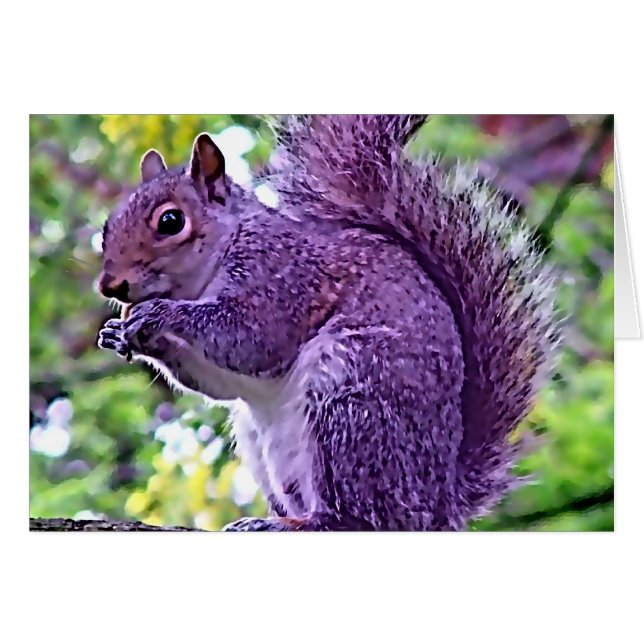 Ardilla púrpura (Anverso (Horizontal))