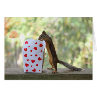 Ardilla que mira la caja interior del corazón