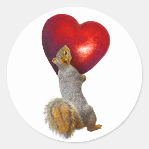 Ardilla sosteniendo al Pegatina del corazón rojo