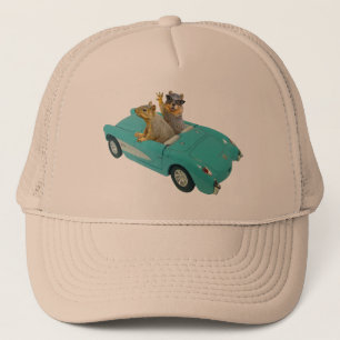 Ardillas en gorra del coche