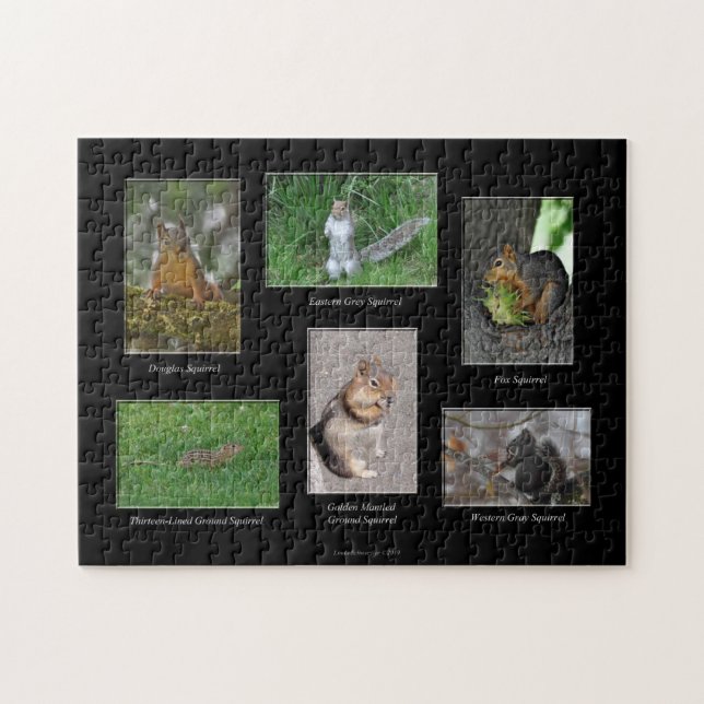 ¡Ardillas! Puzle (Horizontal)