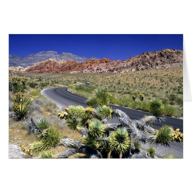 Área de Conservación Nacional del Cañón Rojo, Las (Anverso (Horizontal))