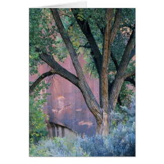Área Recreativa Nacional Glen Canyon, Utah. EE. UU