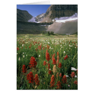 ÁREA VIRGEN DE MOUNT TIMPANOGOS, UT, EE. UU.,