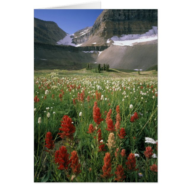 ÁREA VIRGEN DE MOUNT TIMPANOGOS, UT, EE. UU., (Frente)