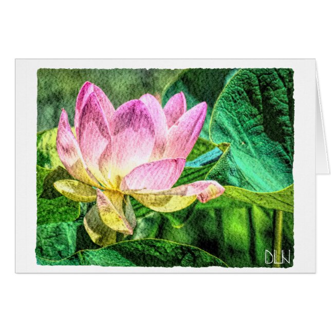 Áreas acuáticas con flores de Lotus/ (Anverso (Horizontal))