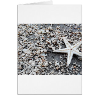 Arena Gray Beach
