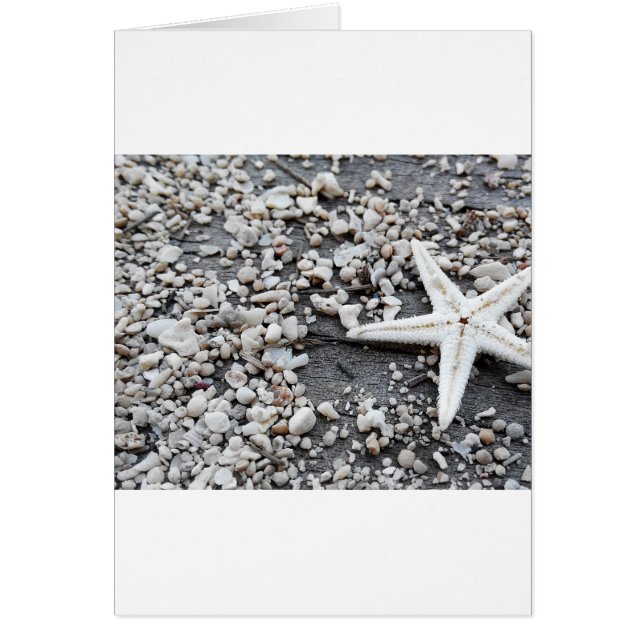 Arena Gray Beach (Frente)