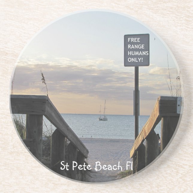 Arenisca ¡Humanos De Cordillera Libre! Posavasos (Frente)