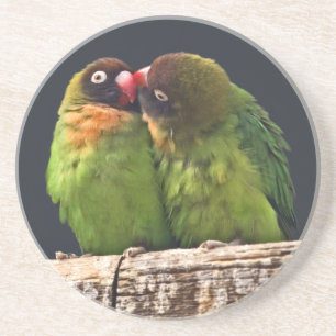 Arenisca Posavasos de beso de inseparables