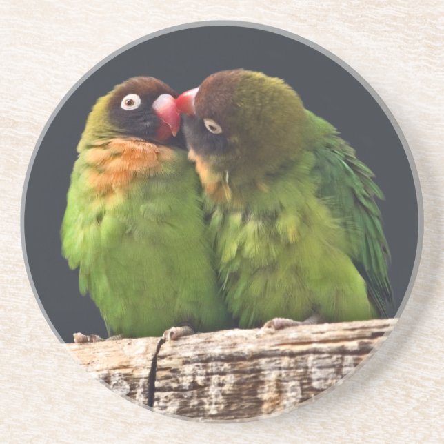 Arenisca Posavasos de beso de inseparables (Frente)