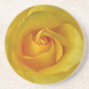 Arenisca Posavasos de Rosa Amarilla Regalos de Rosa Soleada