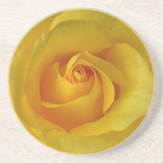 Arenisca Posavasos de Rosa Amarilla Regalos de Rosa Soleada