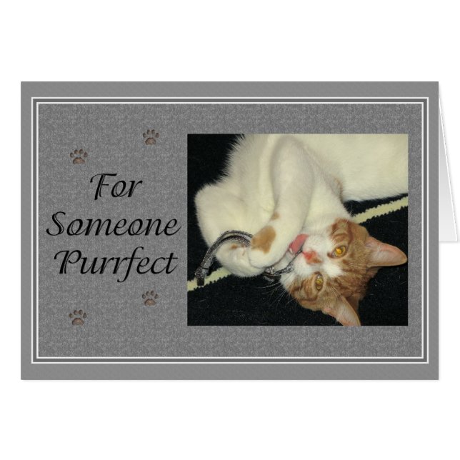 Aries Purrfect (Anverso (Horizontal))