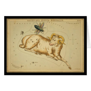 Aries y Musca Borealis