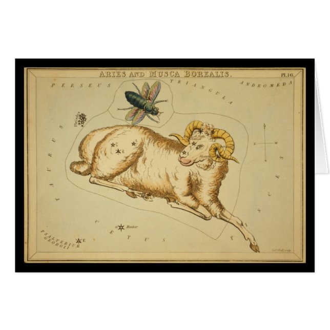 Aries y Musca Borealis (Anverso (Horizontal))