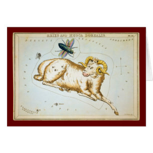 Aries y Musca Borealis