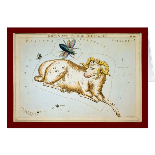 Aries y Musca Borealis (Anverso (Horizontal))
