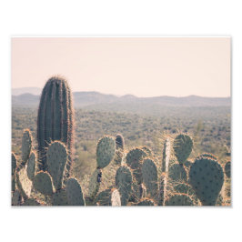 Arizona Cacti | Impresión fotográfica