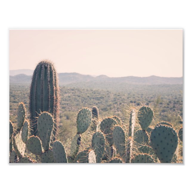 Arizona Cacti | Impresión fotográfica (Frente)
