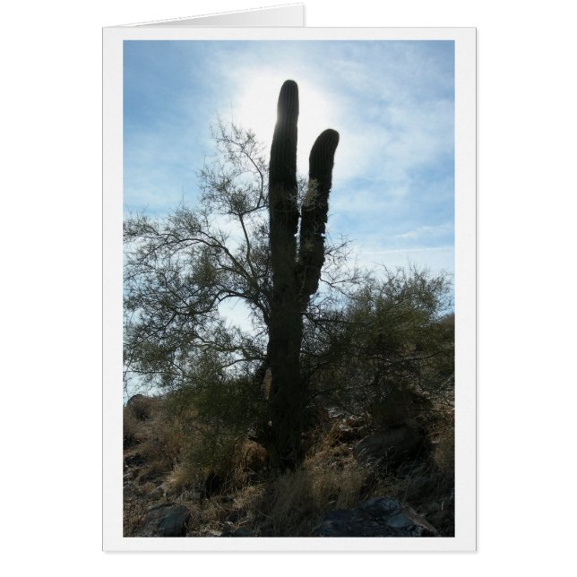 Arizona Cactus (en blanco) (Frente)