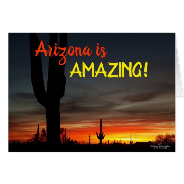 "Arizona es asombroso!" Cactus del desierto de (Anverso (Horizontal))