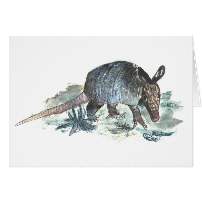 Armadillo del bebé (Anverso (Horizontal))