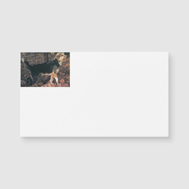 Armant full.png (Anverso)