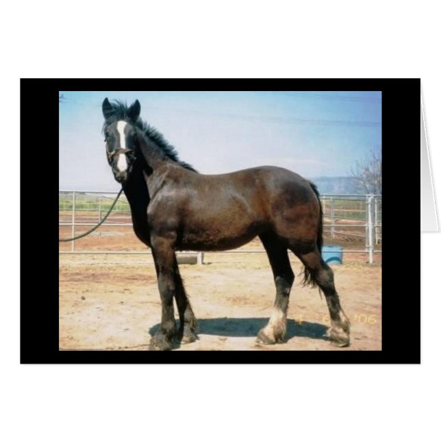 Armonía (Anverso (Horizontal))