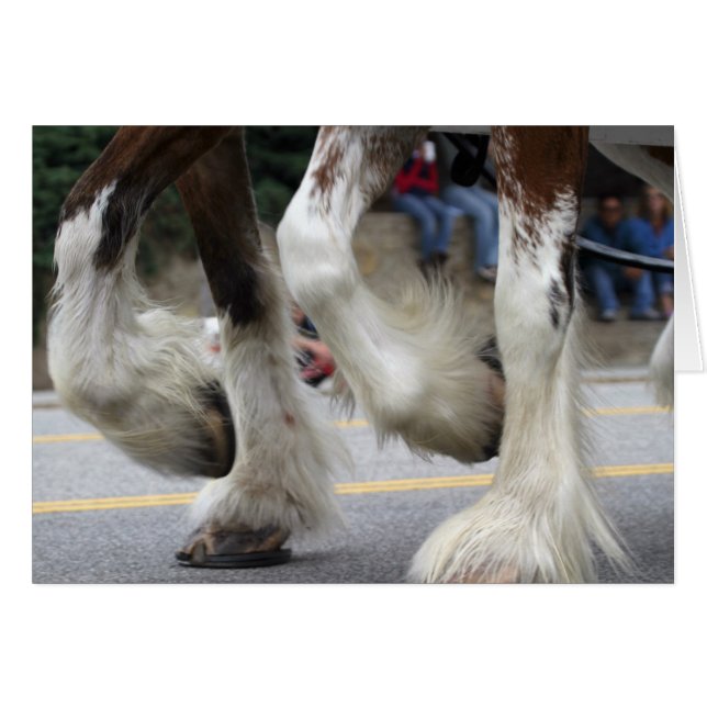 Armonía (Anverso (Horizontal))