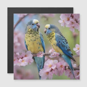 Armonía de primavera: burocracia azul y amarilla