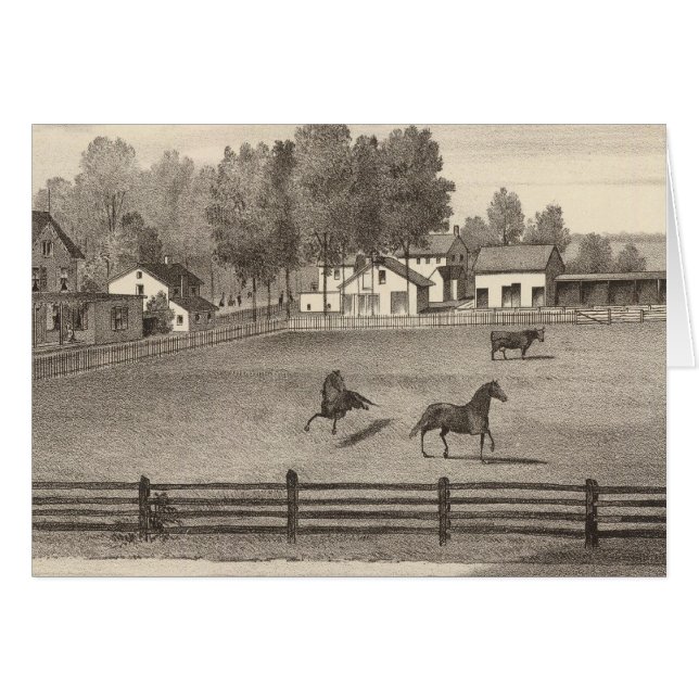 Arnold House, Point Pleasant, NJ (Anverso (Horizontal))