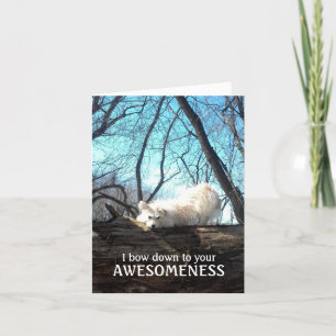 Arqueo abajo a su Awesomeness (un agradecimiento