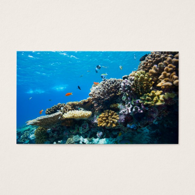 Arrecife de coral bajo el agua (Frente)
