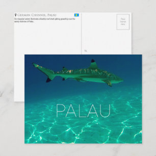 Arrecife de tiburones, postal de viaje de Palau