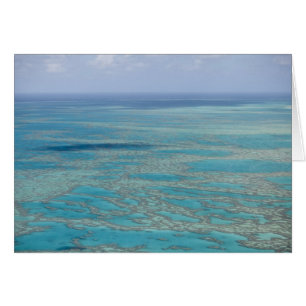 Arrecife tropical, Gran Barrera de Coral, Queensla