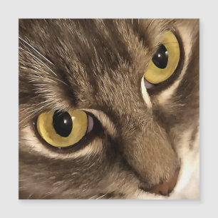 Arreglo artístico de ojos y nariz de gato
