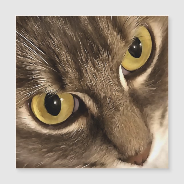 Arreglo artístico de ojos y nariz de gato (Anverso)