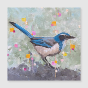 Arrendajo azul