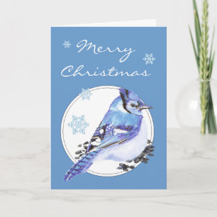 Arrendajo azul del navidad del personalizar,
