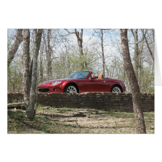 ¡Arriba abajo! (Anverso (Horizontal))