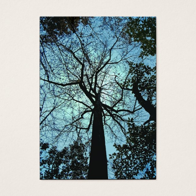 Arriba del árbol ATC (Frente)
