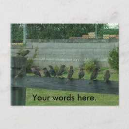 Arroja a los pájaros en las postales de tu palabra
