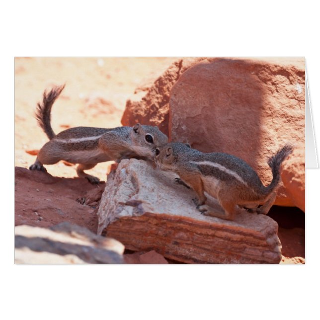 Arroje el beso (Anverso (Horizontal))